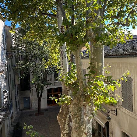 La Charmante Du Palais 2 Chambres Avinyon Dış mekan fotoğraf