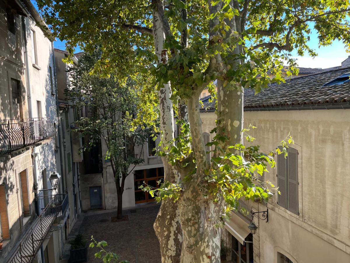 La Charmante Du Palais 2 Chambres Avinyon Dış mekan fotoğraf