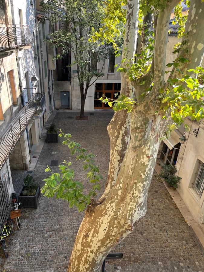 La Charmante Du Palais 2 Chambres Avinyon Dış mekan fotoğraf