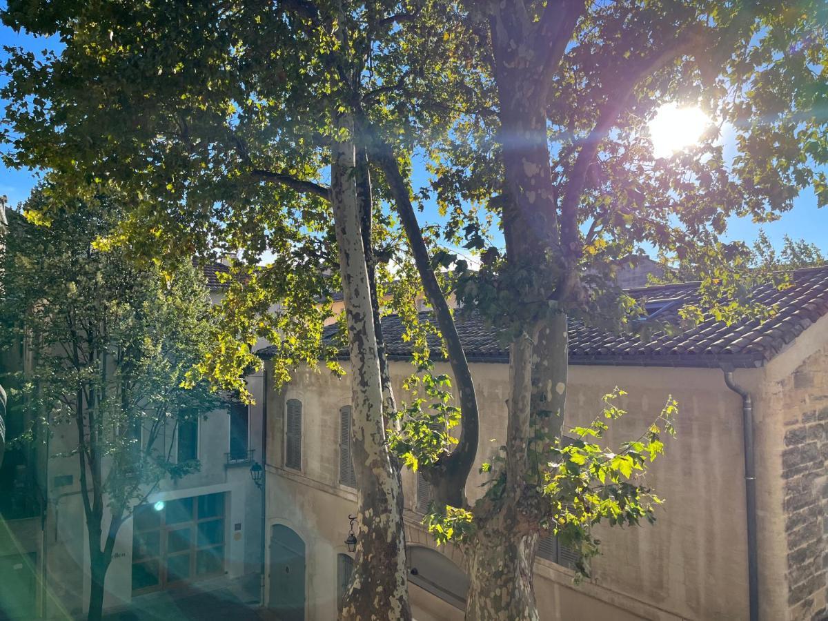 La Charmante Du Palais 2 Chambres Avinyon Dış mekan fotoğraf